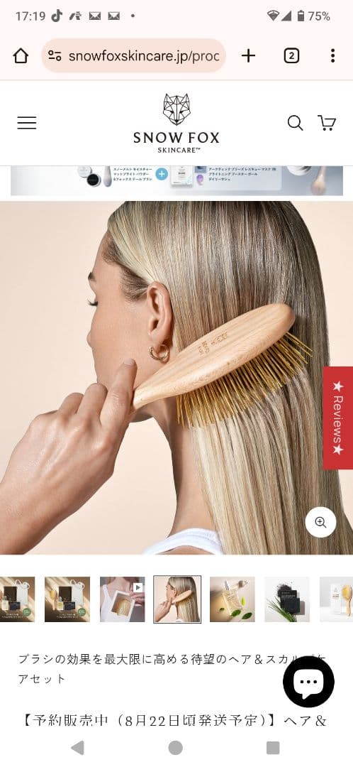 最終値下げ!!お得です!! FOX ヘアブラシ・スカルプケアセット