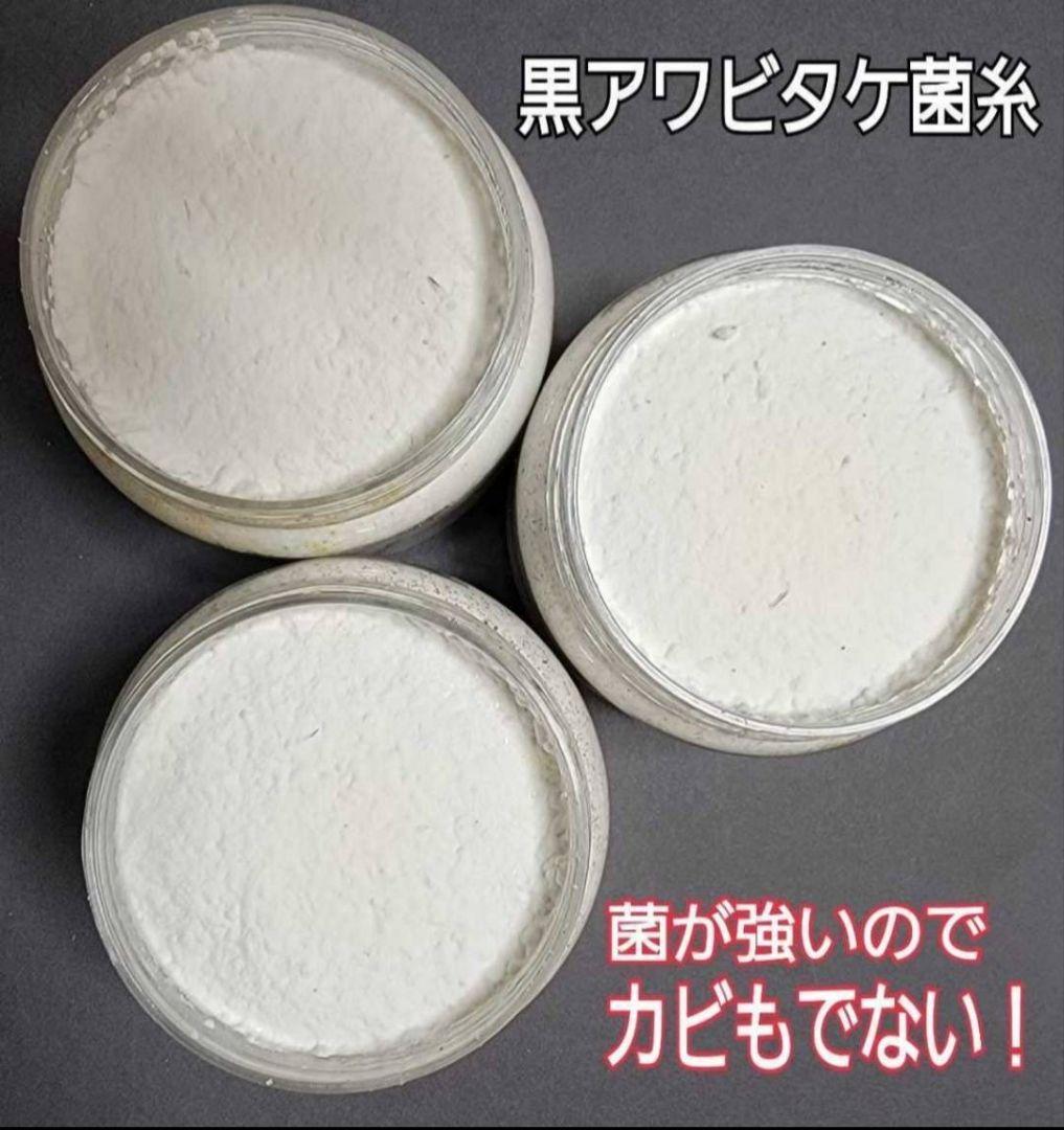 ニジイロクワガタにお薦め！極上！黒アワビタケ菌糸瓶【8本】トレハロース強化配合！