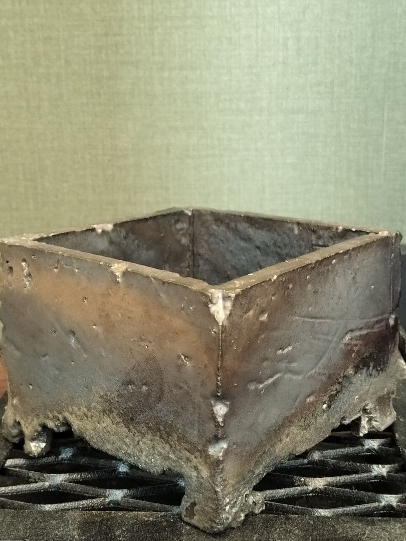 新品 たけろうポット角鉢 検) パキプス カタフ 芽の巣山 Tacson 作家鉢