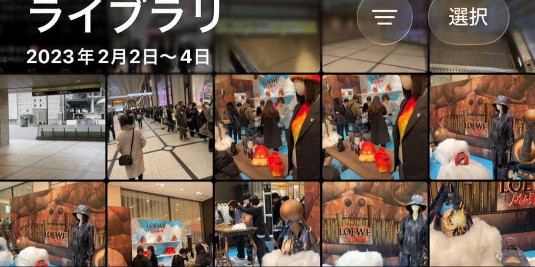 loewe ジブリ　ハウル　ケース