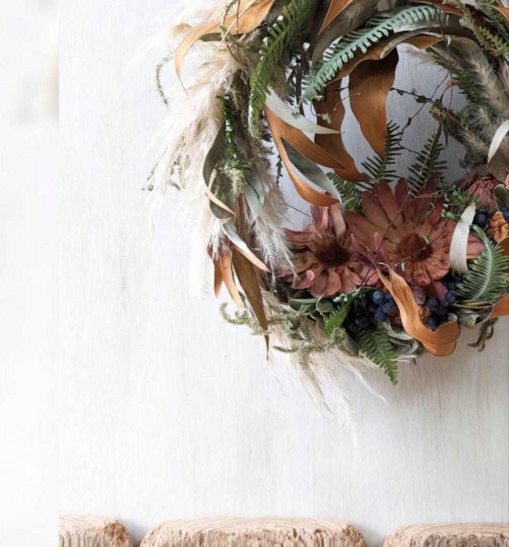 専用感謝sale＊大輪サルフレア＆グレビレア  　ドライフラワーリース