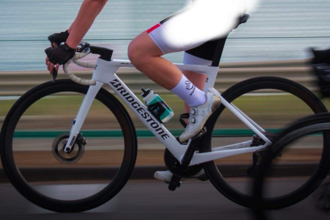 自転車本体 BRIDGESTONE RP8