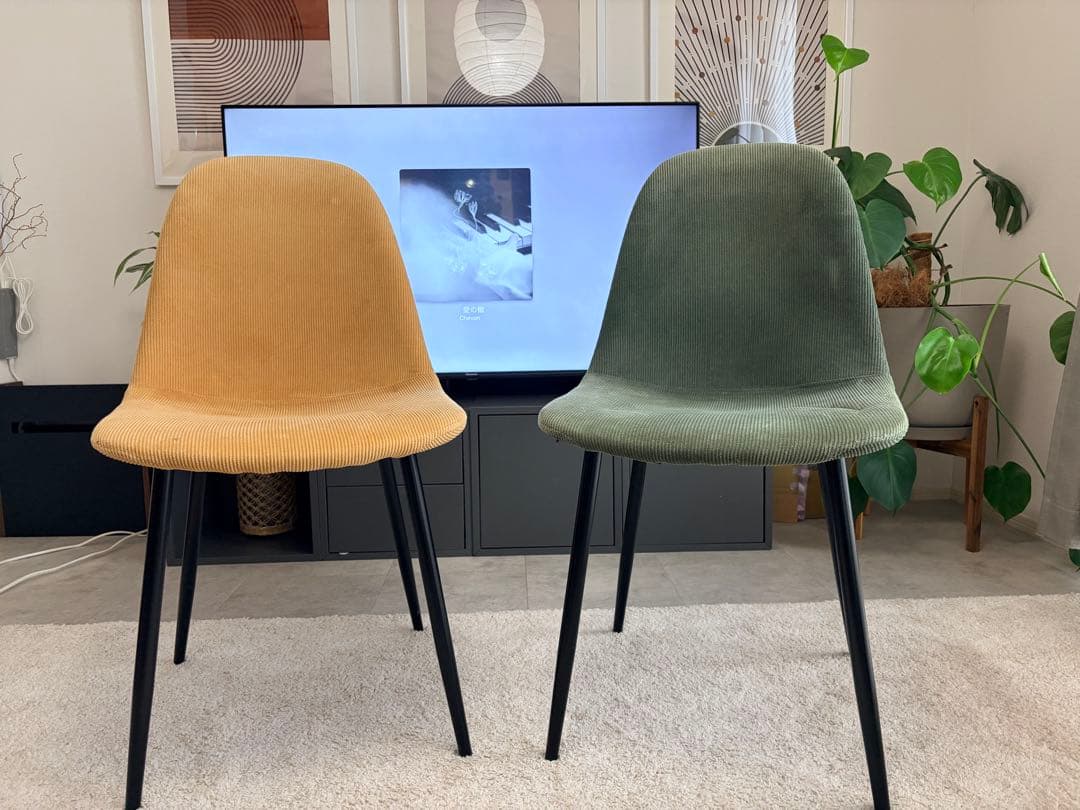 ダイニングチェア 2色セット