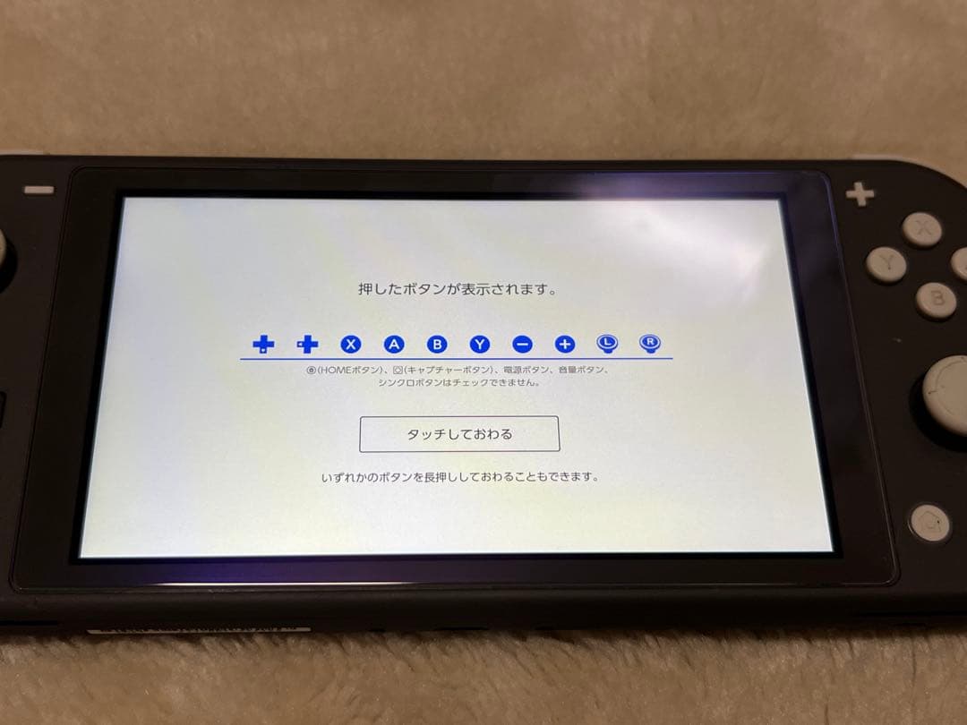 【動作確認済】Nintendo Switch Lite 本体 ブラック