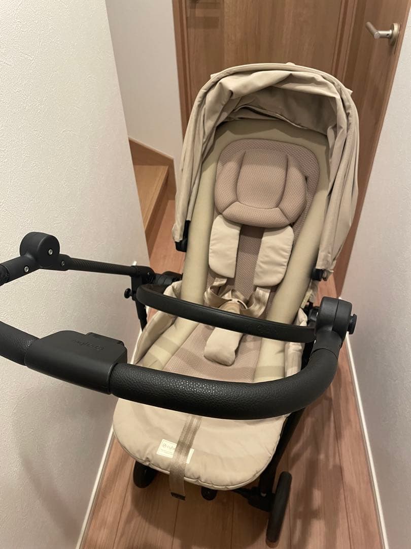 サイベックス メリオカーボン2024