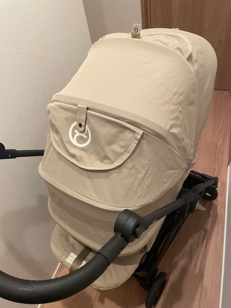 サイベックス メリオカーボン2024