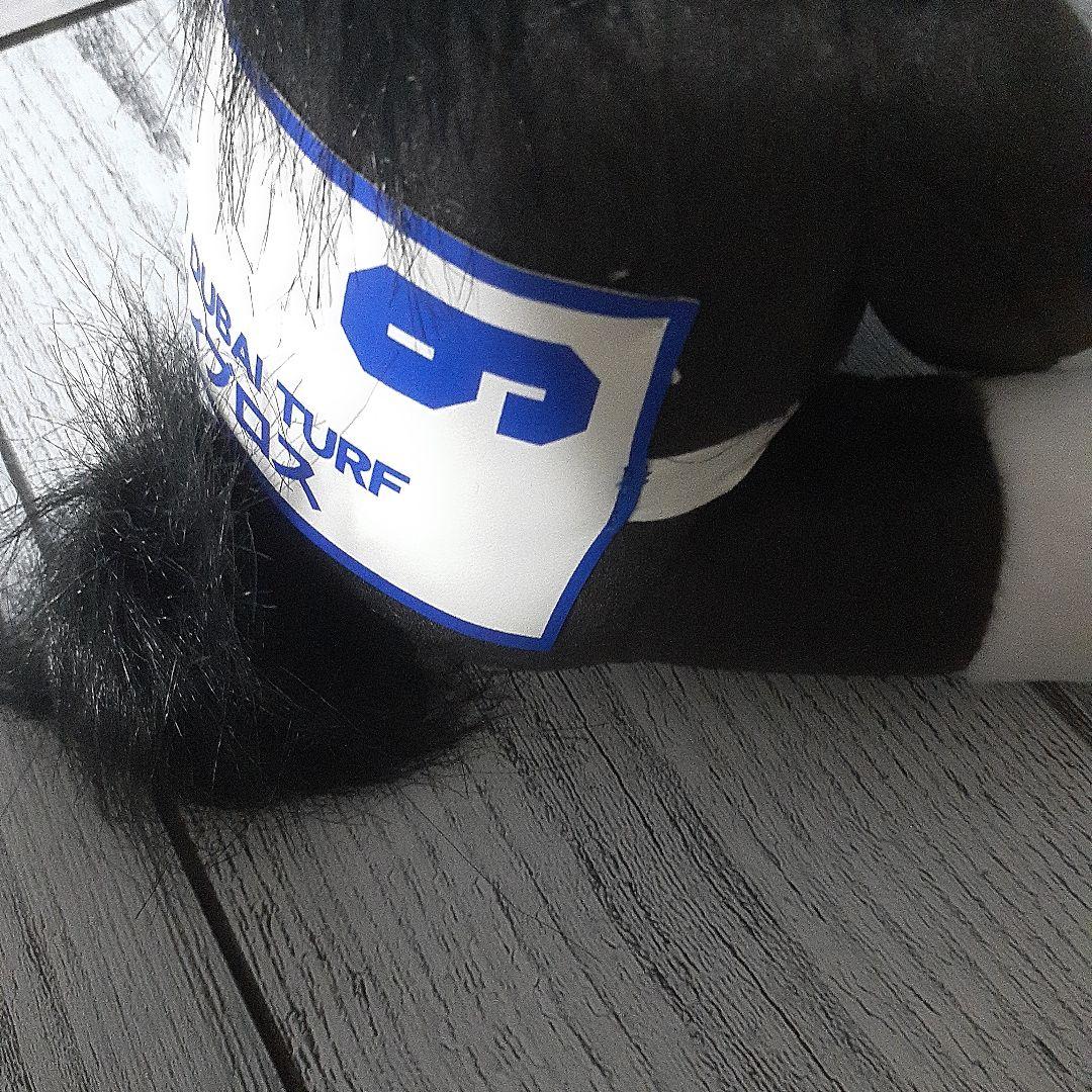 アイドルホース　ヴィブロス