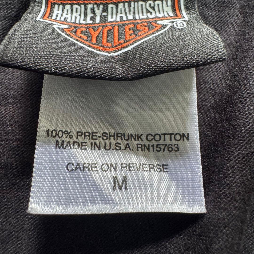 00sUSA製 ハーレーダビッドソン ブラック ドラゴン ブルーフレイム ロンT