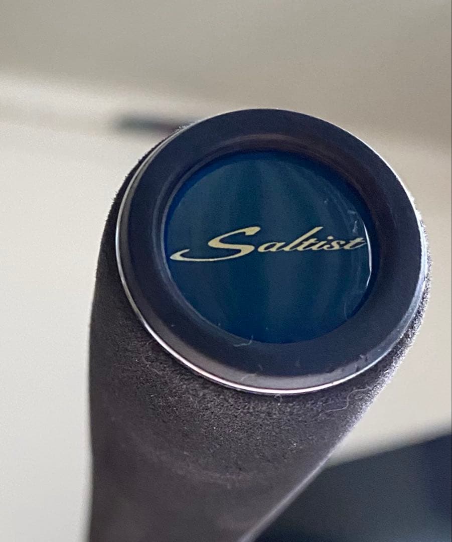 Daiwa SALTISTBAYCASTING &レブロスMX2000