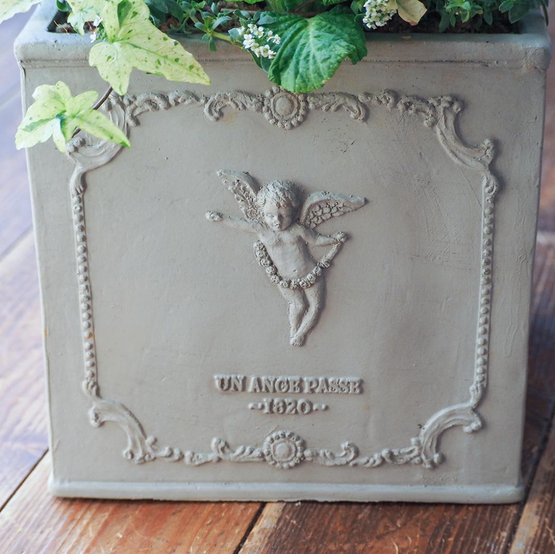 ヒヤシンス咲く天使のお庭