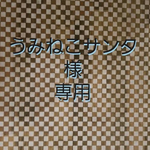 うみねこサンタ