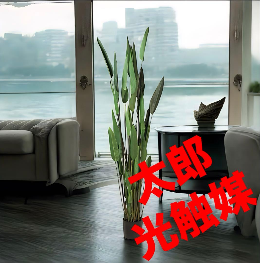 光触媒　人工観葉植物　ウォールグリーン　フェイクグリーン　フラワー　カンナ200