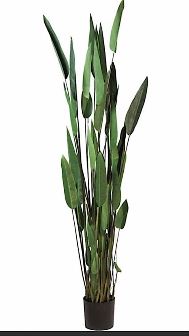 光触媒　人工観葉植物　ウォールグリーン　フェイクグリーン　フラワー　カンナ200