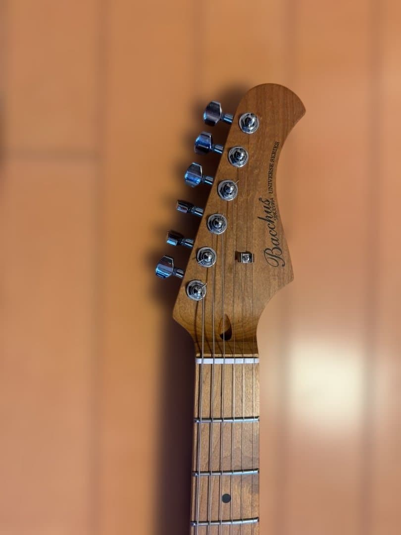 ギター BACCHUS GS-2DX RSM/M SFB