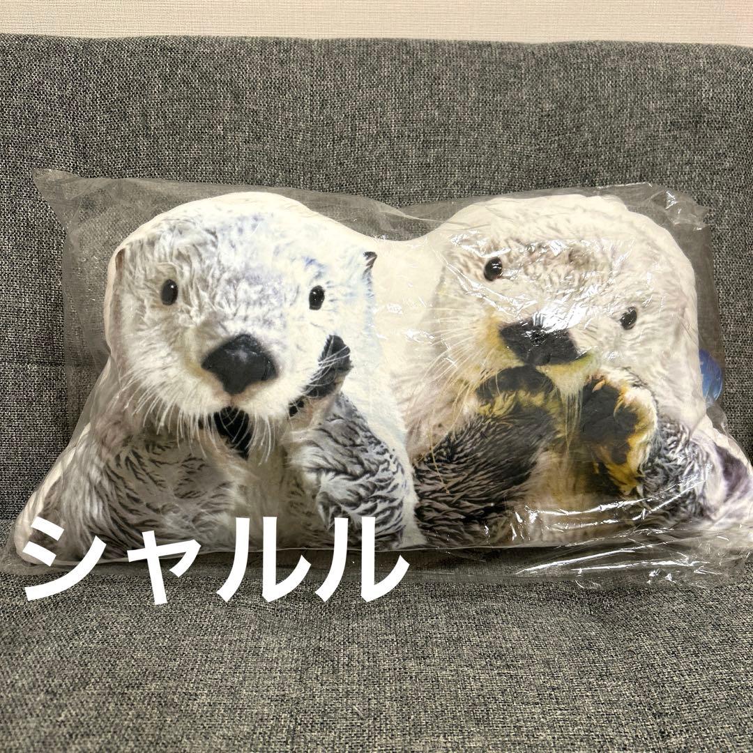 新品　メイキラクッション　フェイス　鳥羽水族館