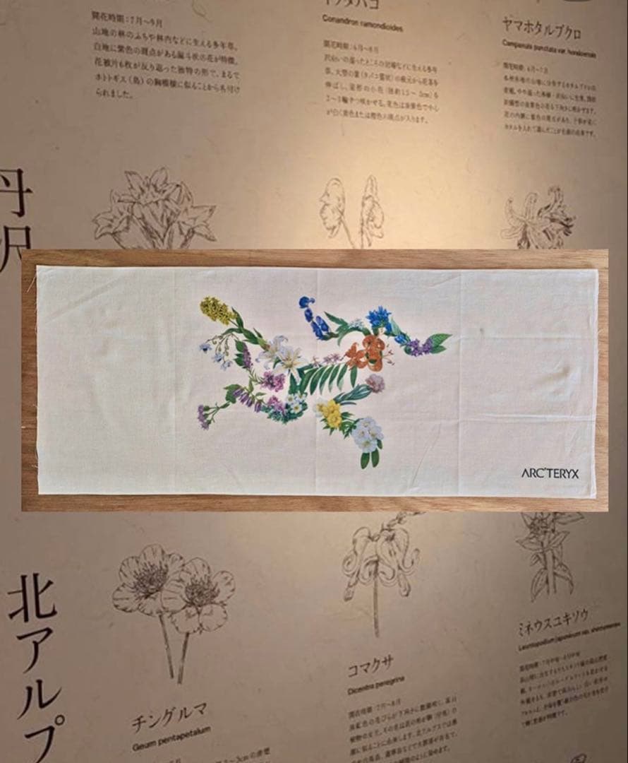 ARC'TERYX 手ぬぐい