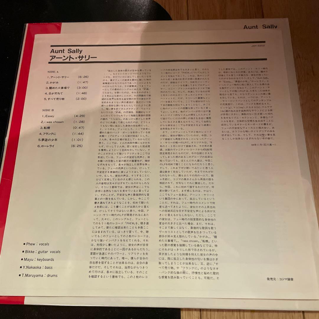 Aunt Sally アーント・サリー レコード