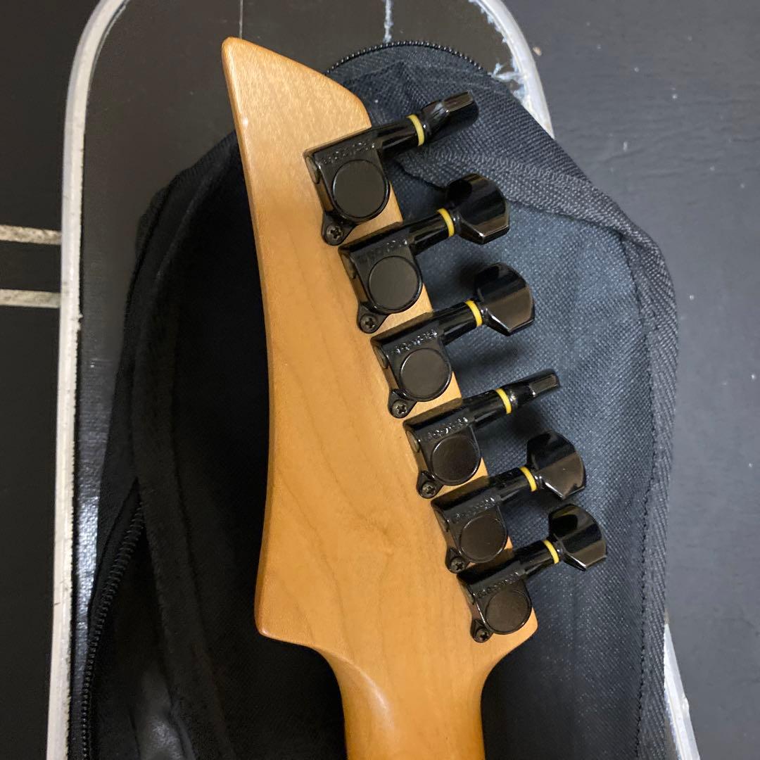 2月6日まで値下げ‼️FERNANDES FGZ400 トレモロアーム・ケース付