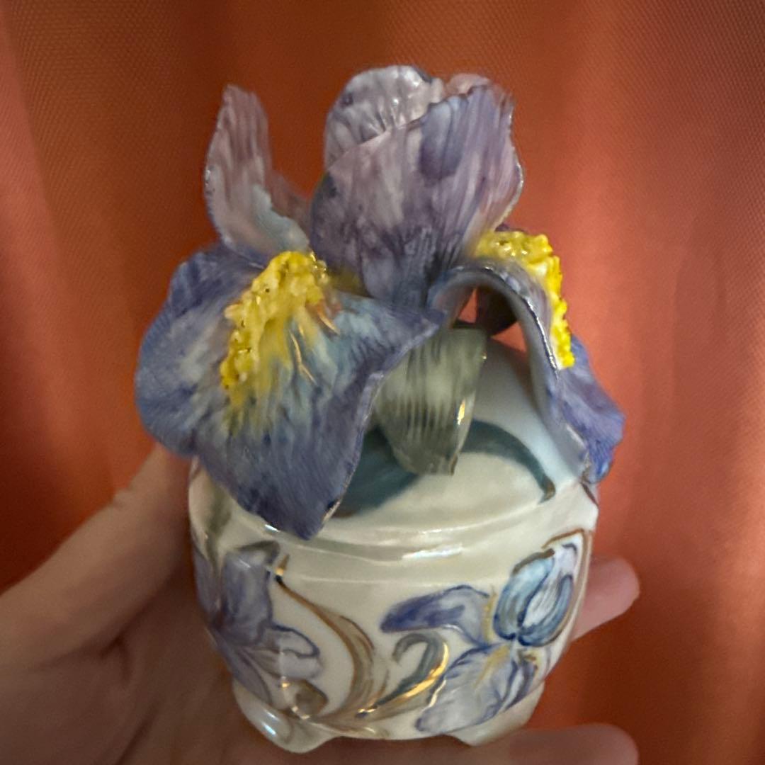 アイリスボックス . 新しいコレクション