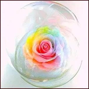 【高級プリザーブドフラワー】大輪パステルレインボーローズ 　ガラスドーム