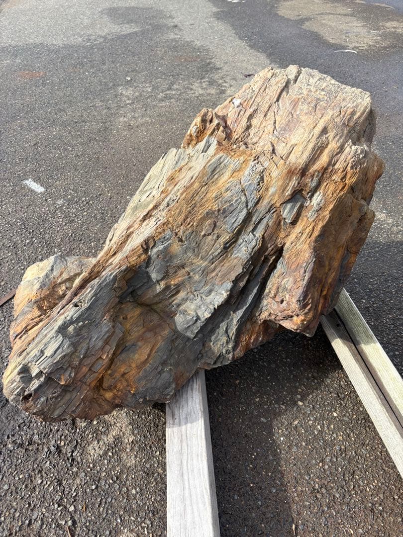 天然木化石 丸太状 原石 庭石 観賞石 80cm級