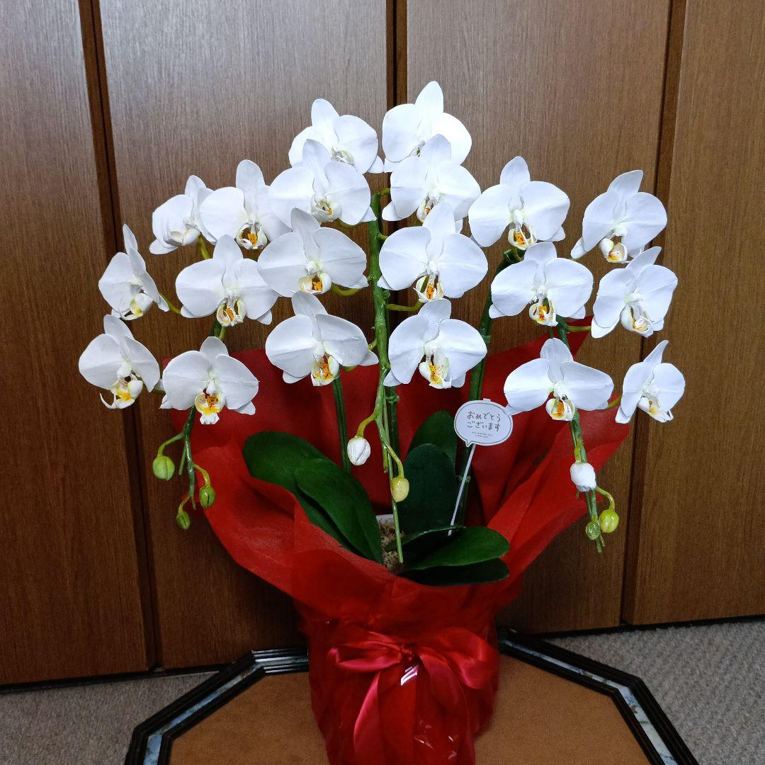 専用　3本立ちホワイト胡蝶蘭　クレイフラワー樹脂粘土