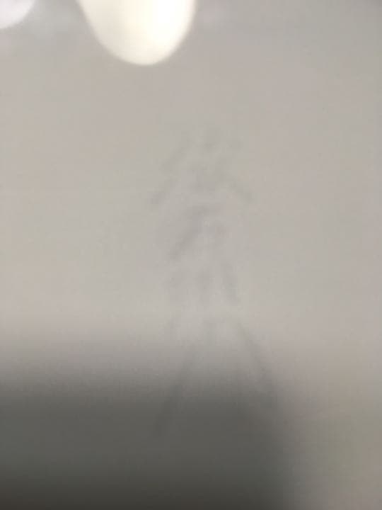 有田焼 俊右衛門の青白磁竹、梅、椿