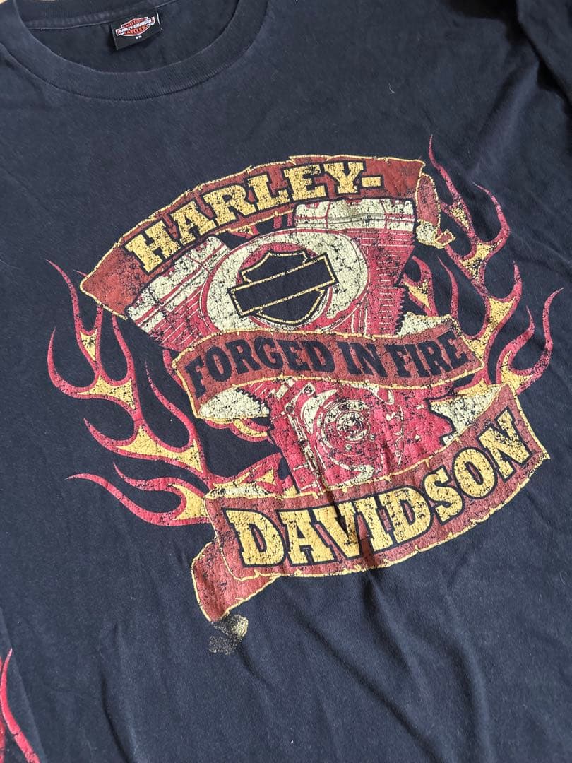 【希少サイズ】ハーレーダビッドソン フレイムスリーブ ロンＴ