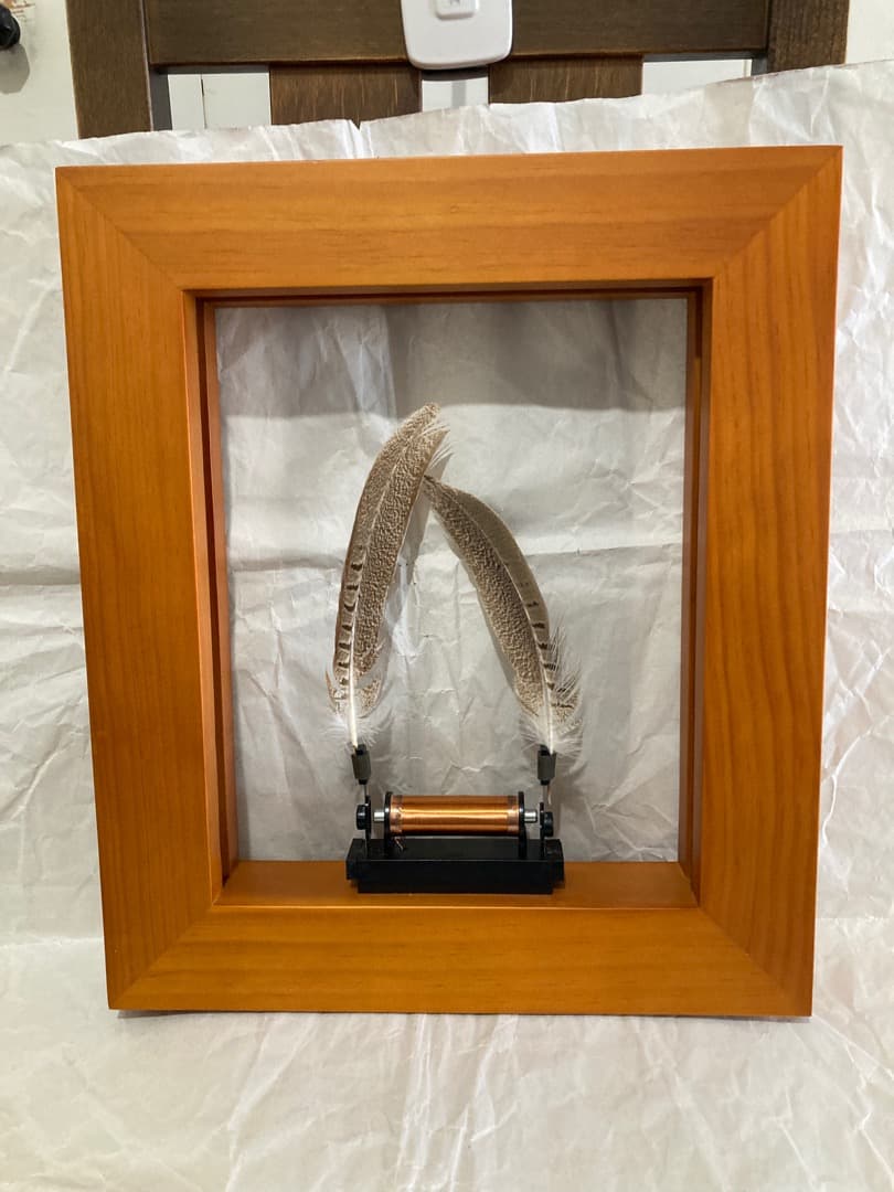 nbb02171　slow dance え！額縁の中のオブジェが動いてる