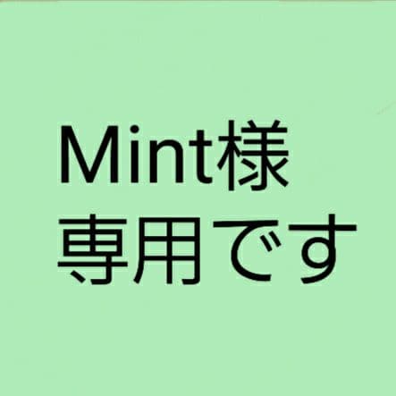 【Mint】サイベックス　メリオ　アルミフレーム