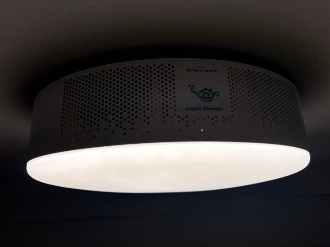 【ジャンク】popIn Aladdin 2 ドット抜けあり・動作確認済