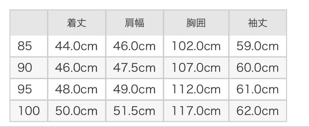 THE NORTH FACE 韓国 ヌプシ ショート ダウン