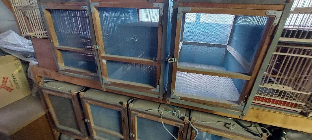 ウグイス、ホウジロ、メジロ用品