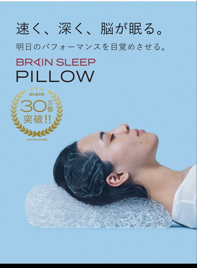 BRAIN SLEEP メッシュピロー (スタンダード)メッシュカバー