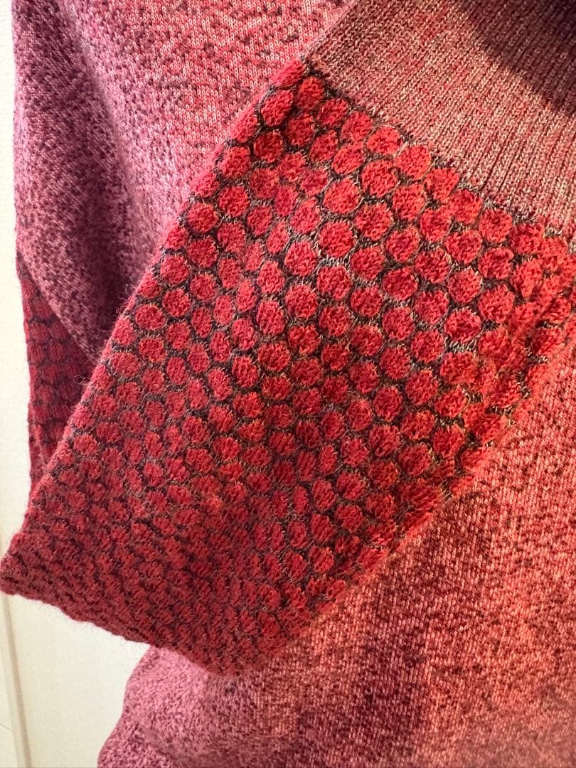 ⭐︎美品⭐︎ヴィヴィアンウエストウッドレッドレーベル　フード付き赤い長袖　かわいい