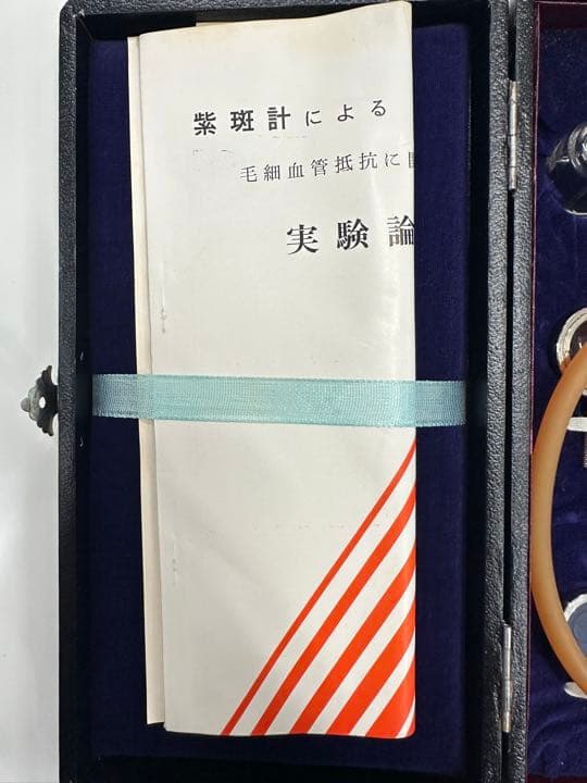 激レア！お宝！値下げしました！紫斑計