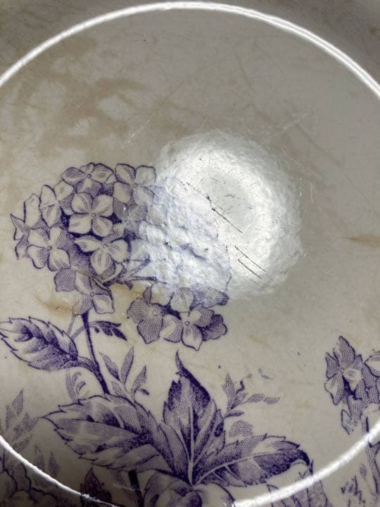 フランスアンティーク☆ジアンGienプレート直径23.5紫陽花