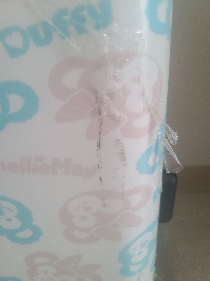 香港ディズニー限定 ダッフィー シェリーメイ キャリーケース