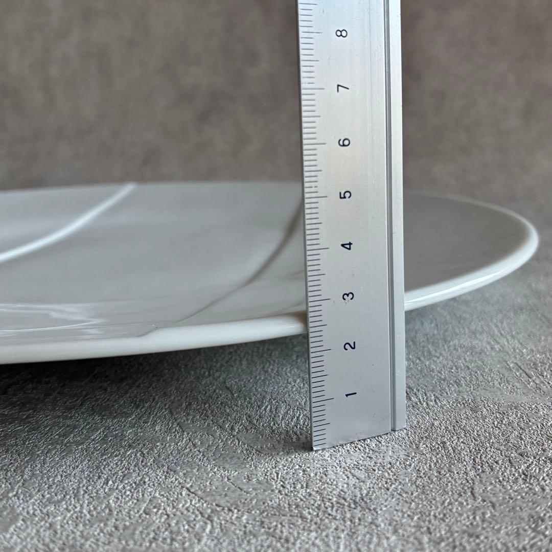 フランス PILLIVUYT ストライプ ディナープレート 31.5cm