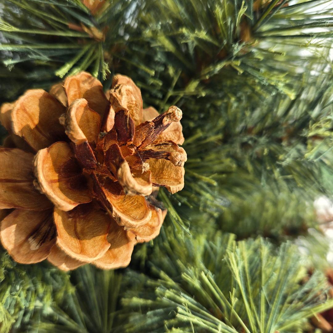 【公式】アルザスツリー　120cm クリスマスツリー　2025年11月購入