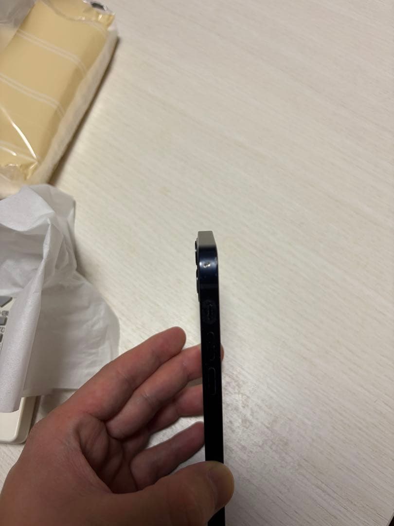 Apple iPhone 12 mini 256GB SIMフリー　本体のみ