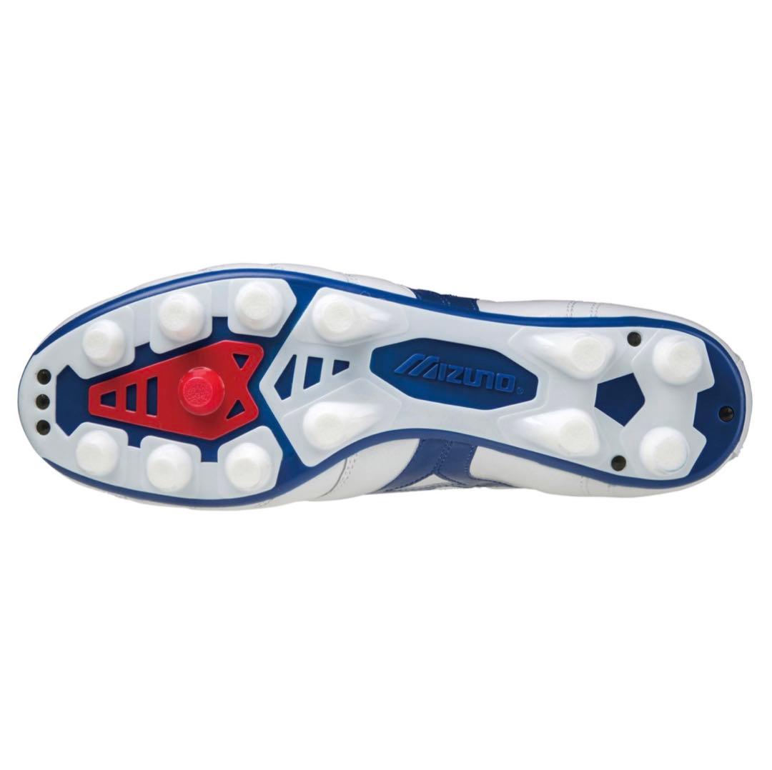 1500足限定カラー モレリア2Japan 28cm