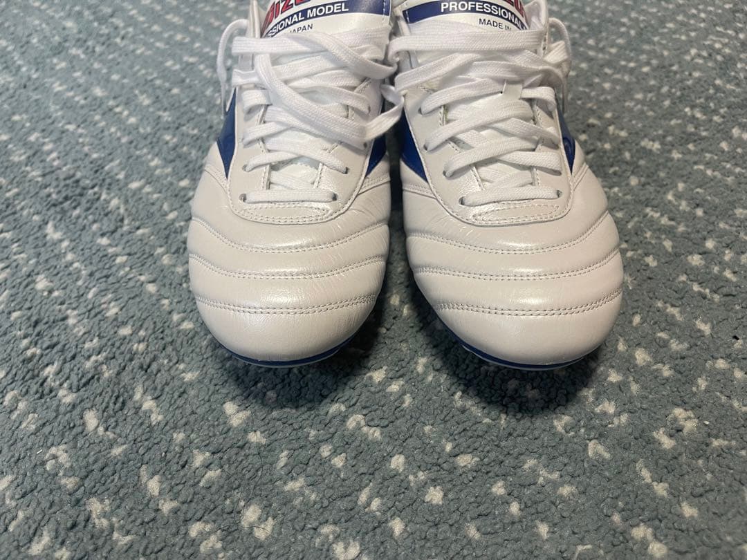 1500足限定カラー モレリア2Japan 28cm