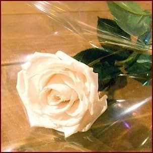 プリザーブドフラワーの花束 ♬ 大輪バラ 白 ☆