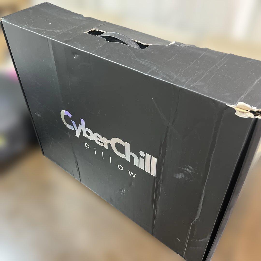 頭を冷やして眠る新しい睡眠体験。‐19℃※の冷却枕で快眠ケア｜サイバーチルピロー