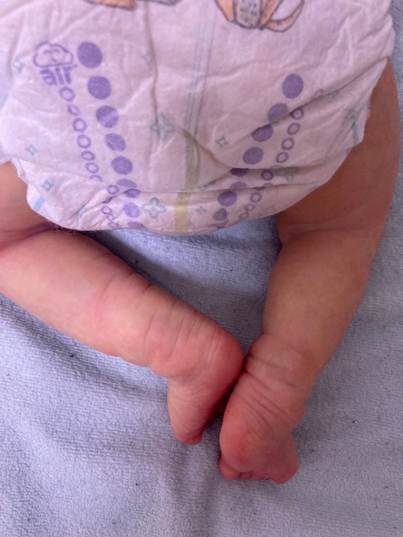 みいです！高級リボンドール　アメリア