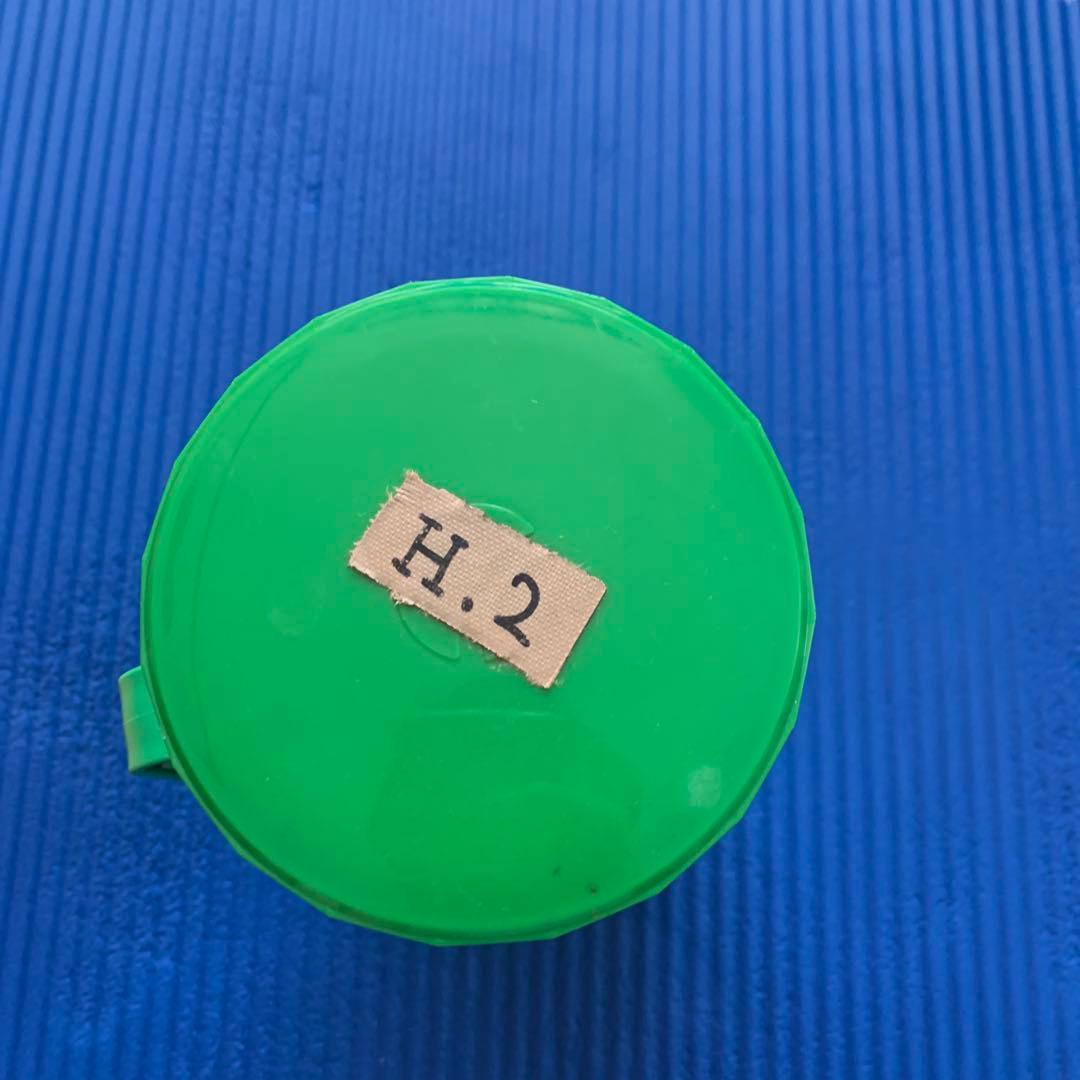 【35年物】スズメバチ焼酎