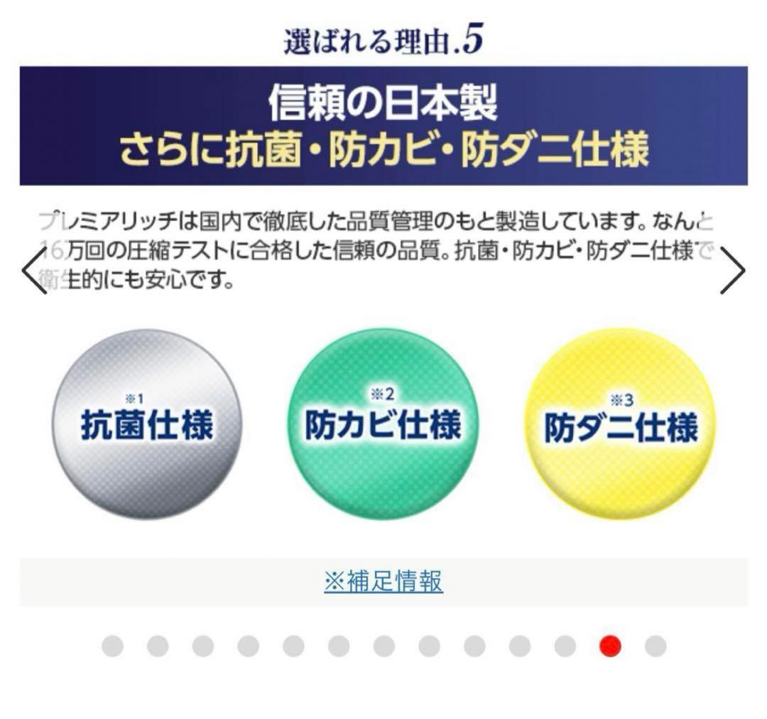トゥルースリーパー【大阪市手渡し→値下げ可】