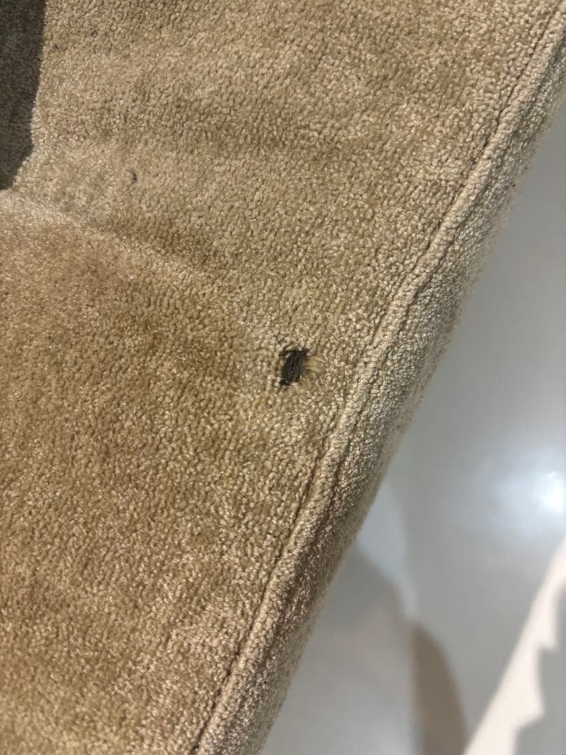 【たろう様限定】ヴィンテージソファ ベージュ 3人掛け