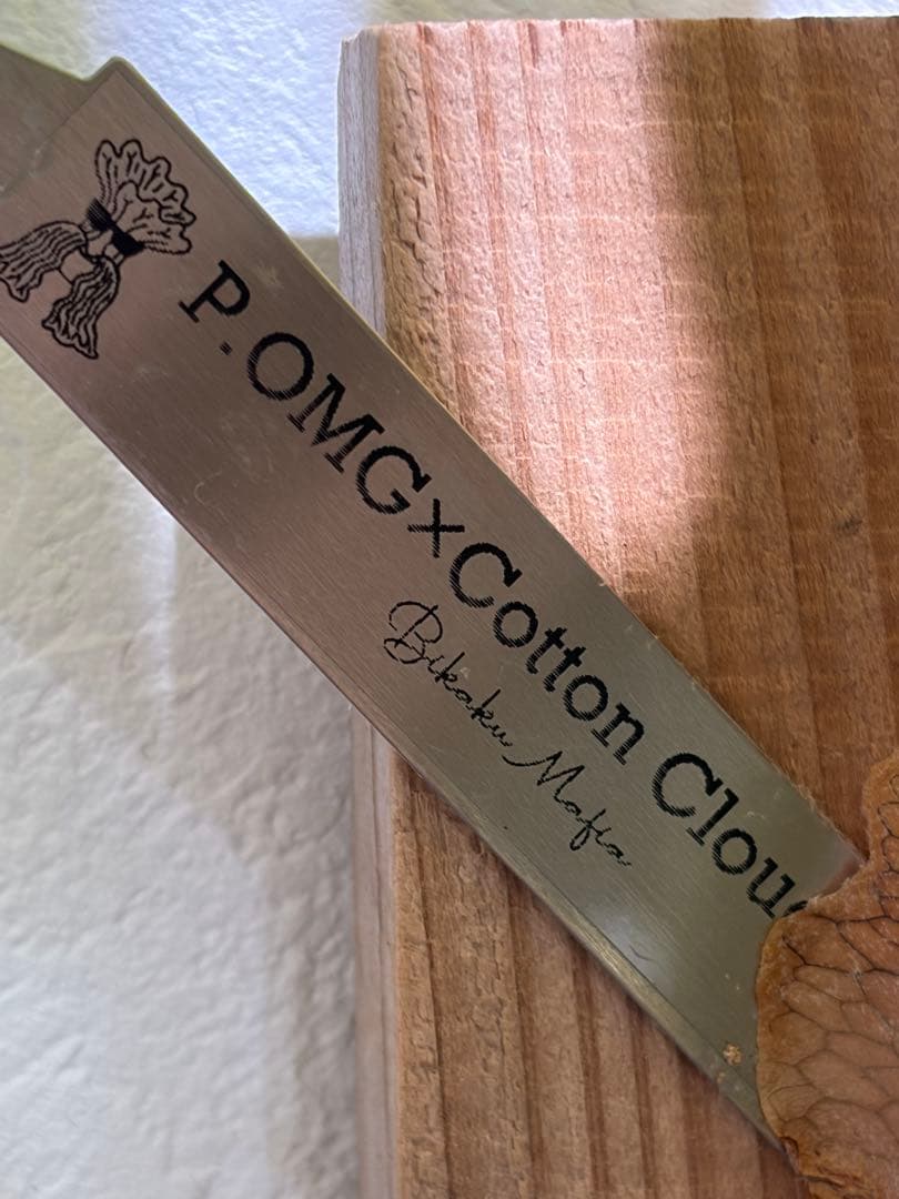 OMG×コットンクラウド　子株　板付け　ビカクシダ